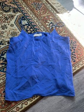 Everlane Cobalt Blue Silk Cami with Thin Straps